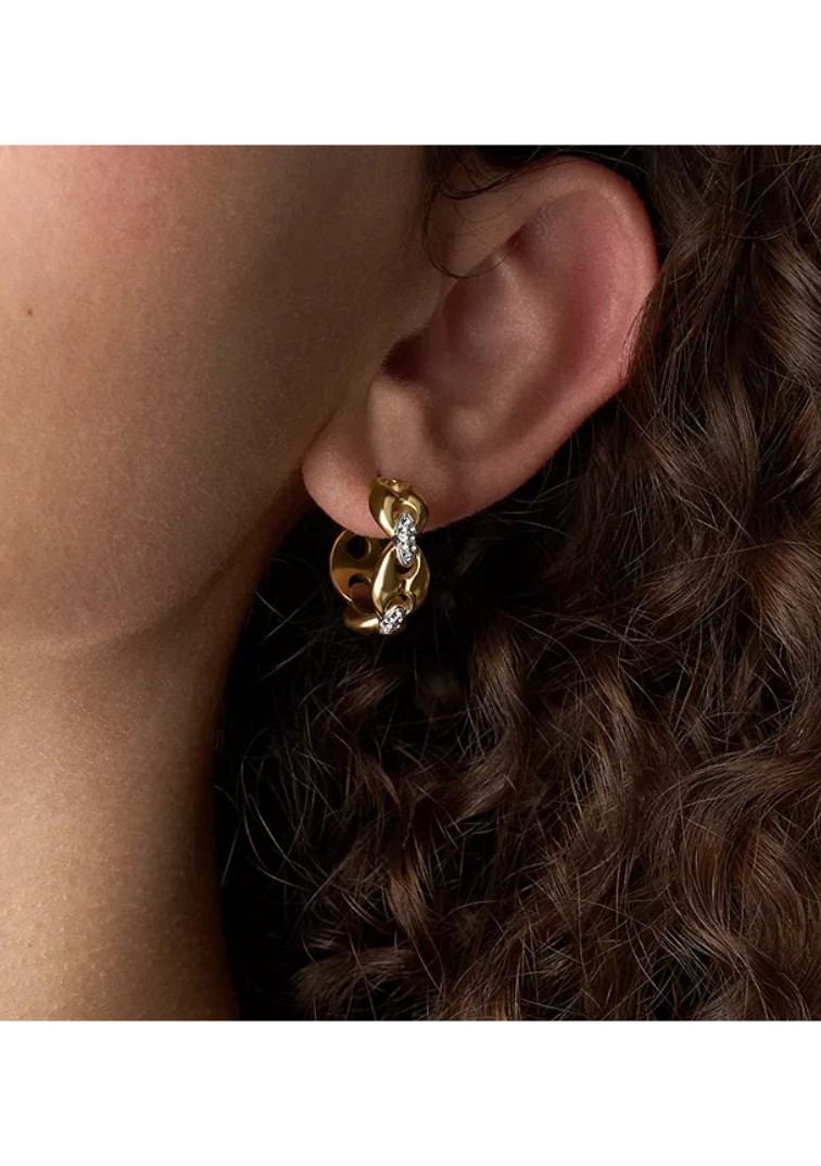 Fossil, JF04930998 — thumbnail 3